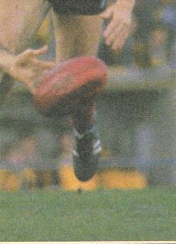 1986 Scanlens VFL #50 Brian Taylor Back